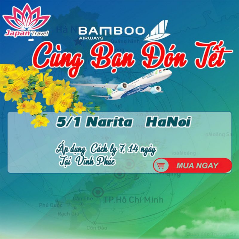 Hoạt động 4