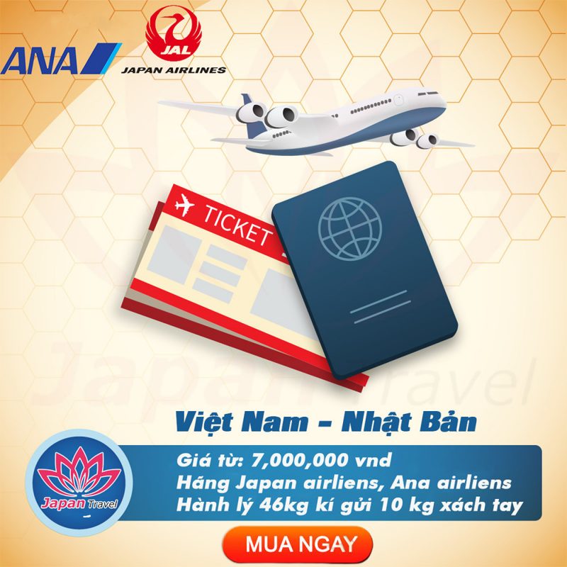 Hoạt động 5