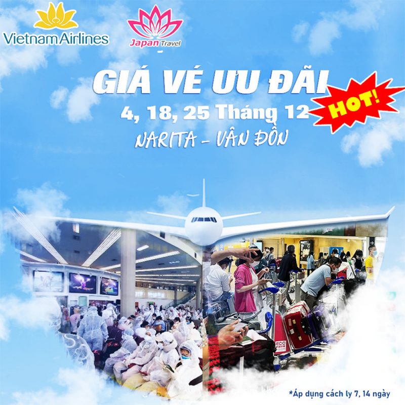 Hoạt động 6